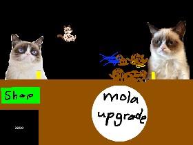 grumpy cat battle 1