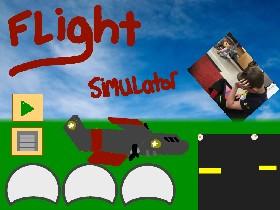 Flight Simulator 3