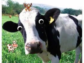 Cow Joke 1