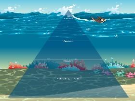 Dee's Ecological Pyramid