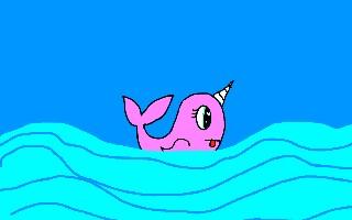 Nari Narwhal