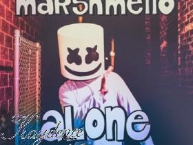 marshmellow-alone 1 1 1 1