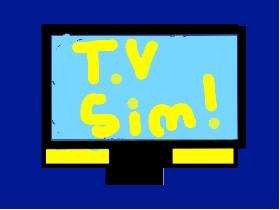 T.V Simulator! 1