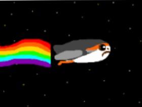 nyan porg 1