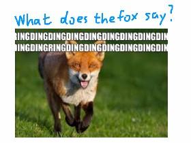 What does the fox say