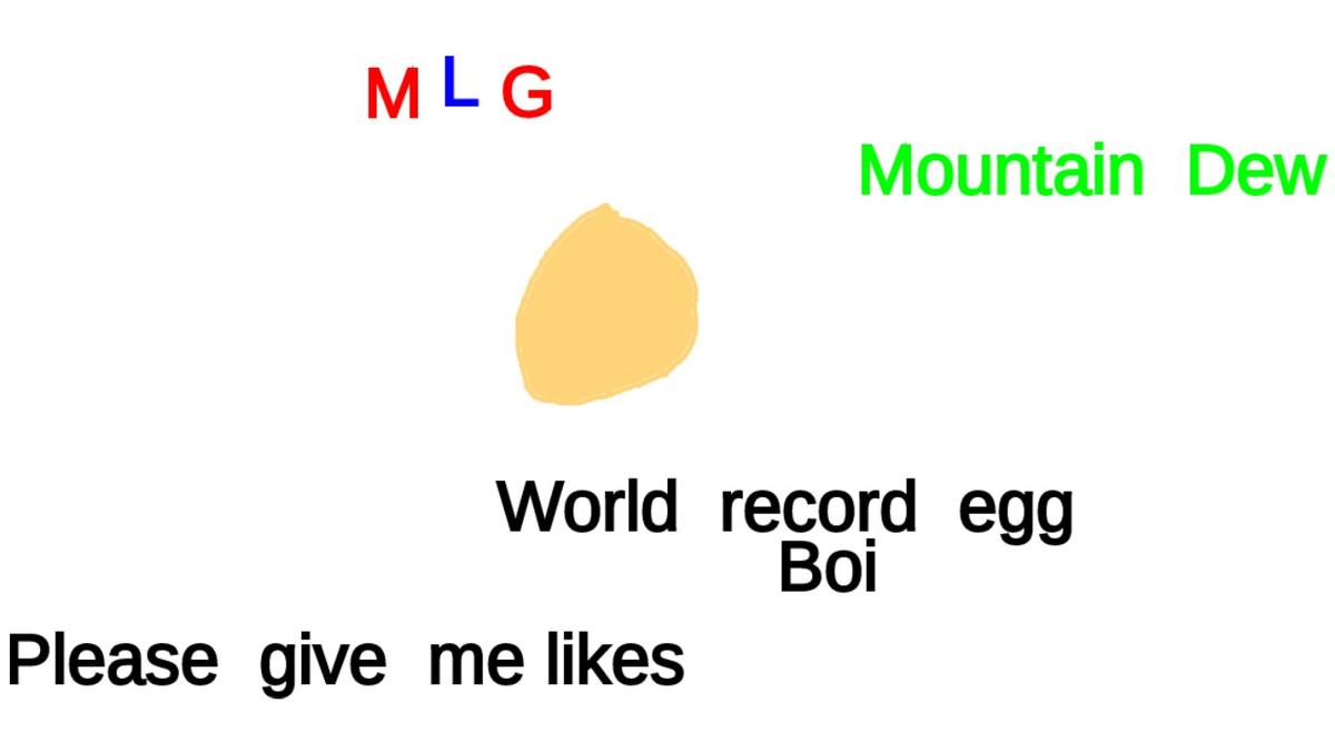 World Record Egg