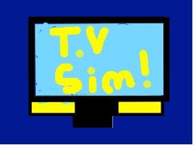 T.V Simulator! 1