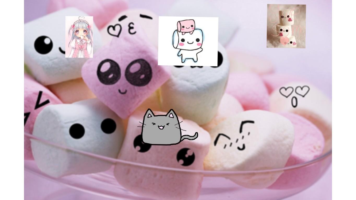 cute marshmellow and cat