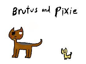 Brutus and Pixie