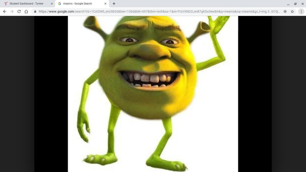 SHREK ME BOYS