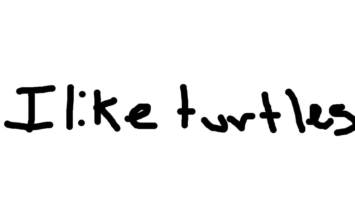 i like turtles sign