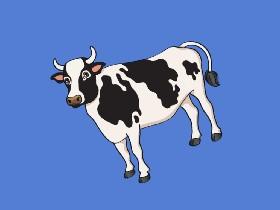 the cow