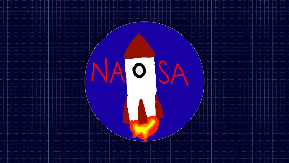 Nasa Patch