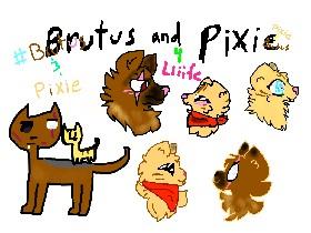 #PIXIE&BRUTUS4LIIIFE