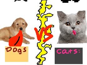 Dogs vs Cats!!🐈🐩 1