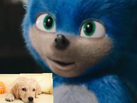 sonic for freinds