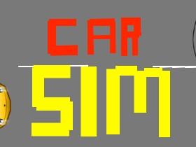 Car Sim 