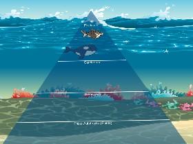 Ecological Pyramid 1