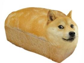 doge bread