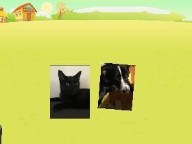 A Pet Game 1