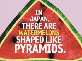 learn about watermelon