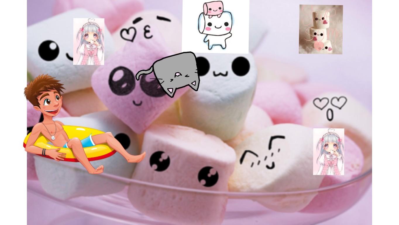 cute marshmellow and cat