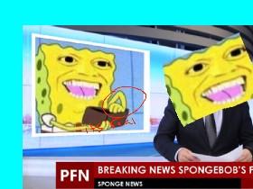 my spong 1