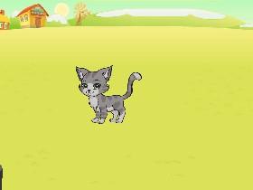 My pet cat game