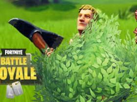 Fortnite Bush 1 1