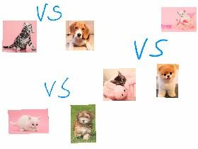 cats vs dogs