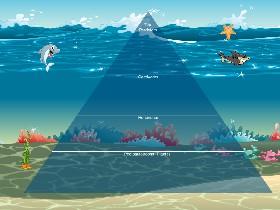 Ocean Ecological Pyramid 1