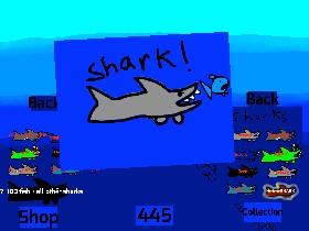 Shark! 1 1