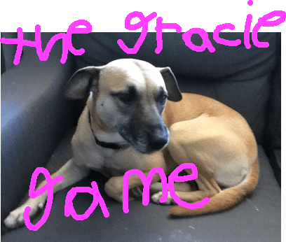 the gracie game. part one