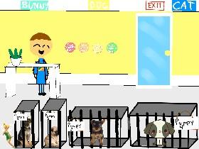 Kyle's pet place