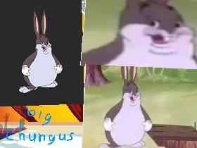 Big Chungus!!!!!!!!!!!!,!