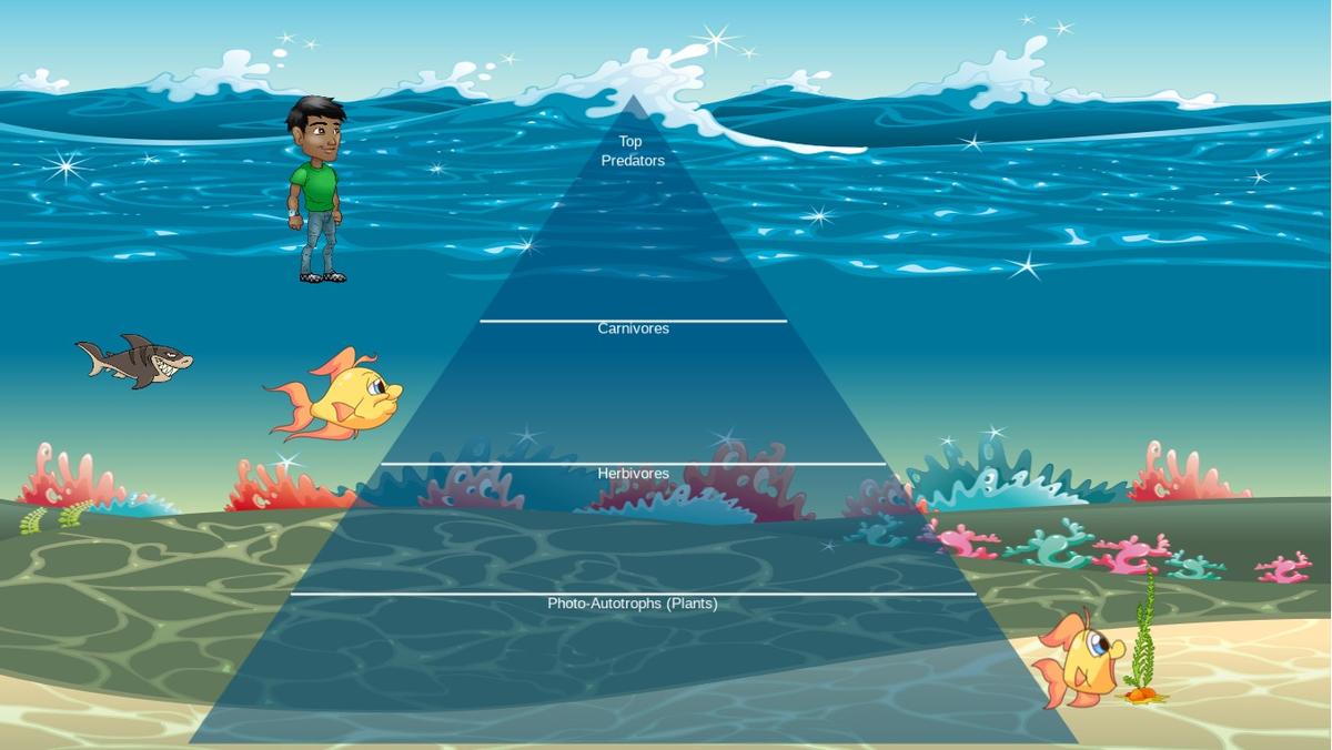 Ocean Ecological Pyramid