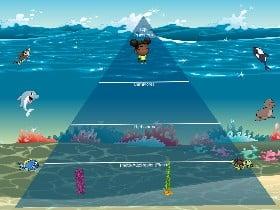 Ecological Pyramid 3