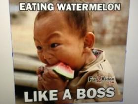 like a boss 🍉