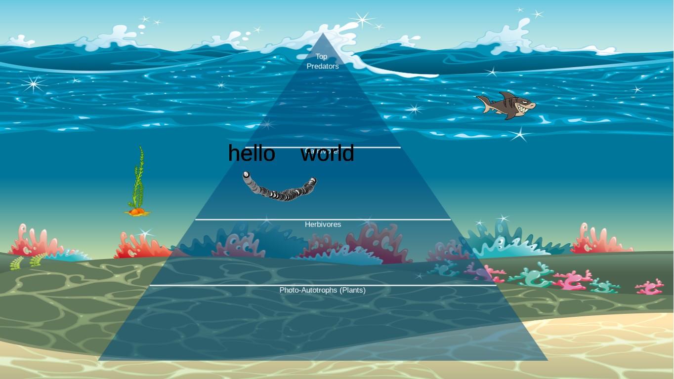 Ocean Ecological Pyramid