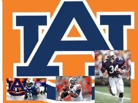 auburn tigers