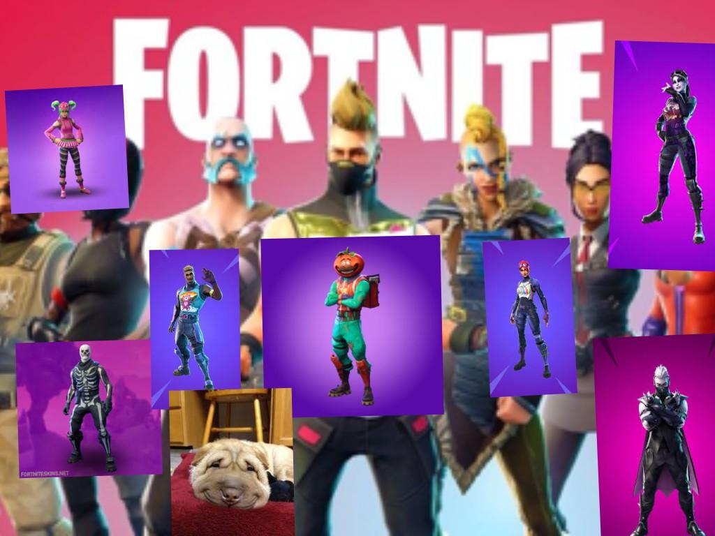 fortnite dog suprize