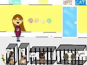 Kylie’s Pet Emporium 1 1