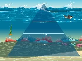 Ocean Ecological Pyramid 1