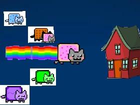 🐱Nyan cat animation🐱