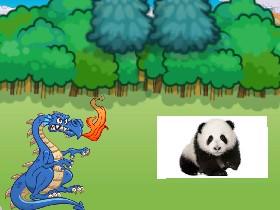 my panda quiz
