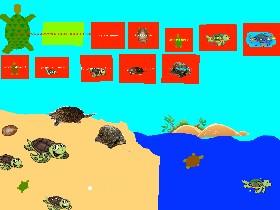 Turtle Clicker!  1