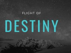 Flight Of Destiny 1