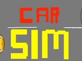 Car Sim RELEASED 1