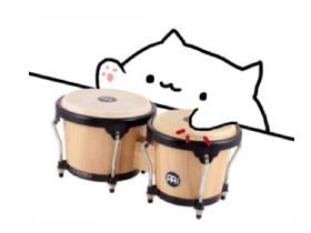 Bongo cat