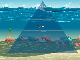 Ocean Ecological Pyramid 1